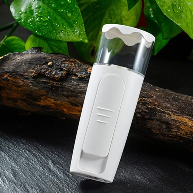 Facial Mini Nano Mister Handhe - огляд і ціна Facial Steamer Nano